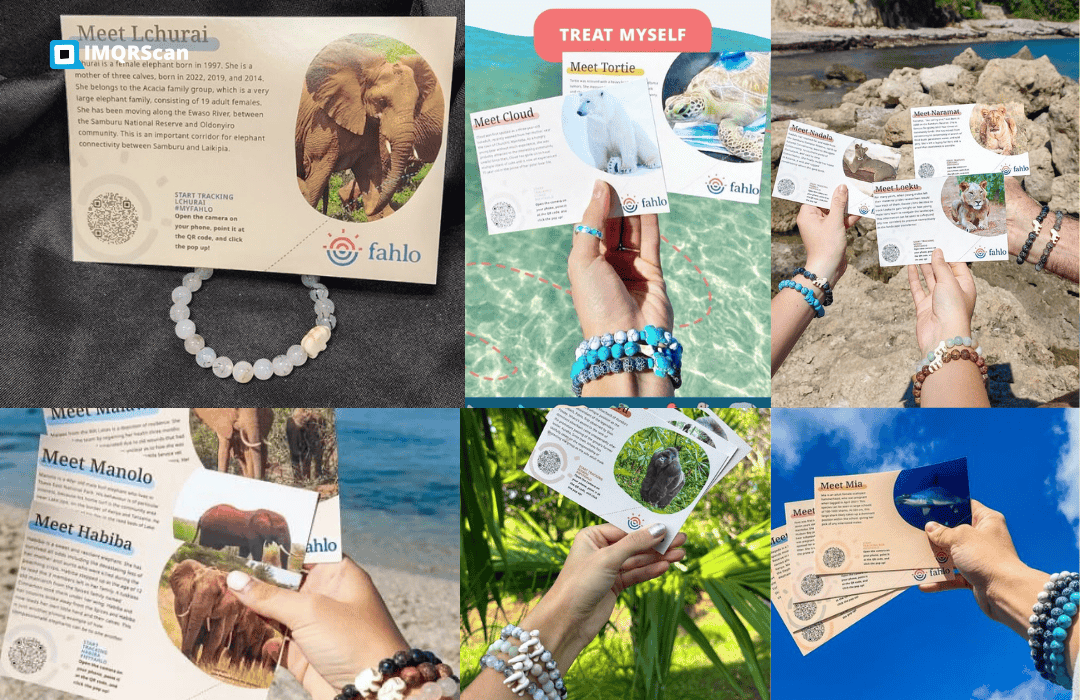 Dynamic QR code links to the animal's live tracking data